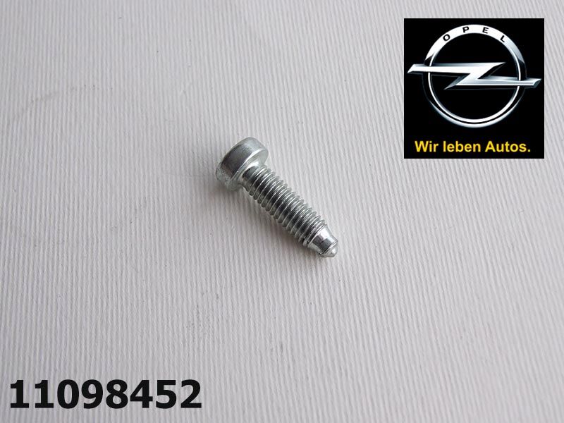 VIJAK, TORX, M6X22